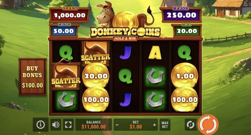 Donkey Coins Hold & Win - ecranul principal cu role
