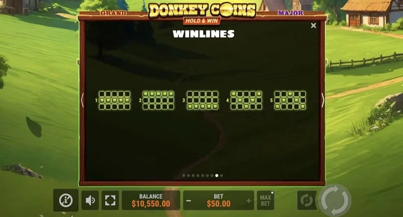 Donkey Coins Hold & Win - câștig mare în modul special